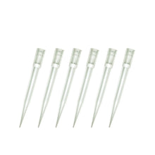 Load image into Gallery viewer, 1000ul Filtered Pipette Tips Bagged
