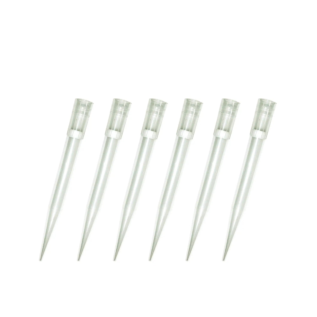 1000ul Filtered Pipette Tips Bagged